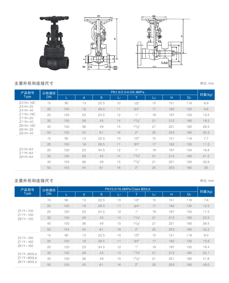 锻钢闸阀 02.JPG