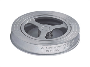 对夹升降式止回阀