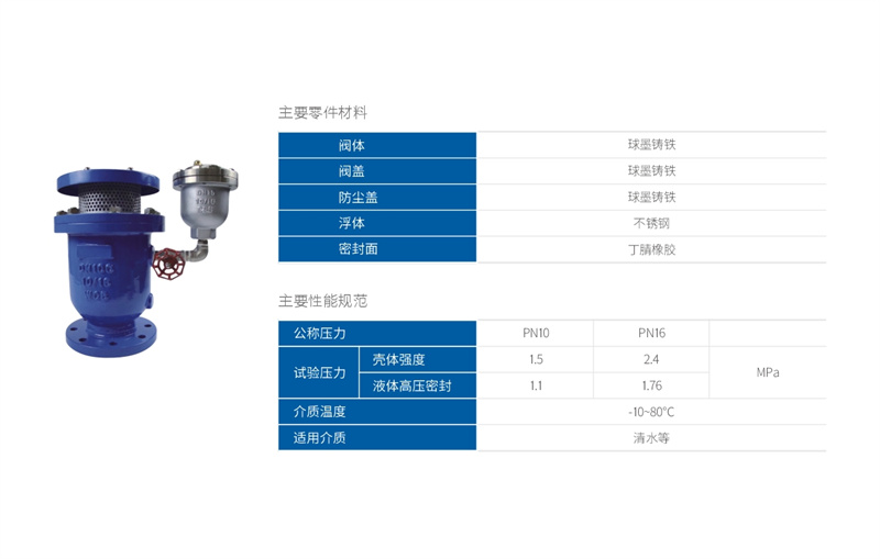 CARX复合式进排气阀.JPG